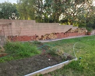 Over 500 regular & fire bricks.