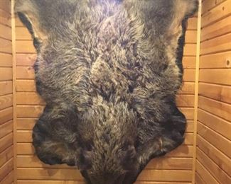 Wild Board soft tanned rug