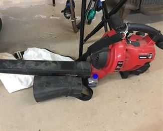 Leaf blower