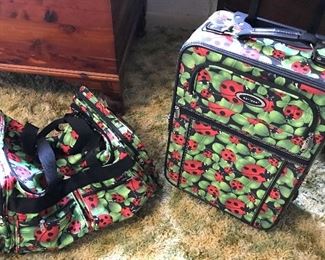 Cute Ladybug luggage