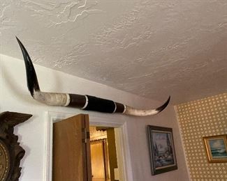 Bull horns 