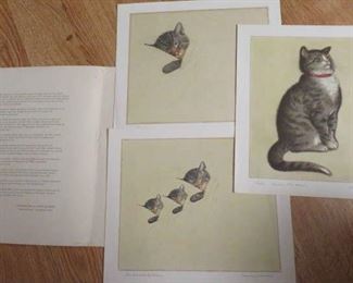 Chesapeake and Ohio Railway 