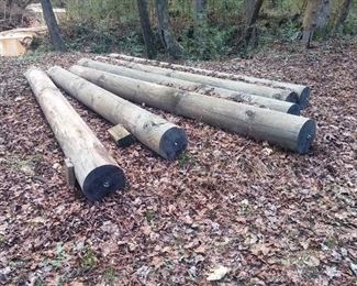 ACedarPoles