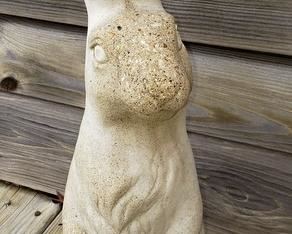Concrete Rabbit