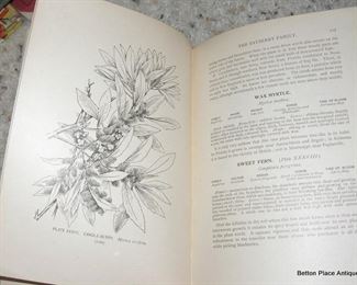 inside Southern Flowers book