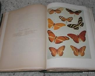 Butterfly book 