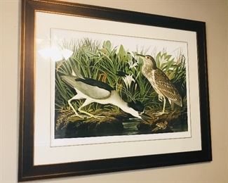 large and lovely Audubon prints 