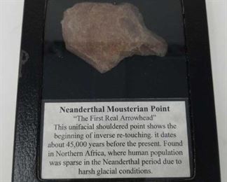 Neanderthal mousterian point