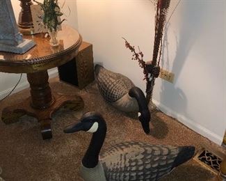 geese