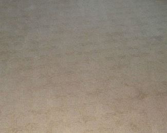 Carpet with Padding 12' X 11' $65.00