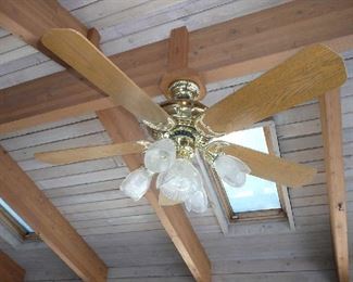 2-Ceiling Fans with Lights $65.00 each