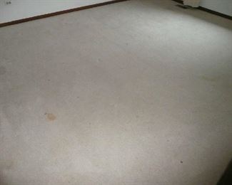 Carpet with Padding 12' X 14' $100.00
