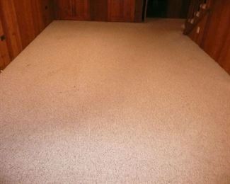 Basement Carpet $100.00 for all.