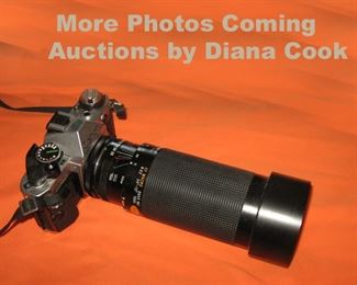 Diana Cook, Indiana Licensed Auctioneer