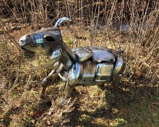 Jack Kearney Goat