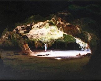 https://www.ebay.com/itm/114065343745  ML3079: Conner McManus Aruban Cave Photograph and resin on wood panel 24"X36"