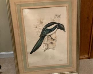 Framed Artwork