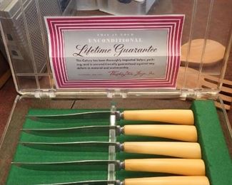 STEAK KNIVES IN CASE