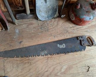 Old Saw