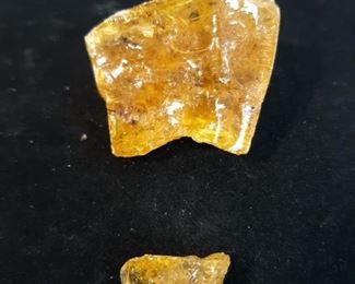 Fossil insect in Baltic Amber