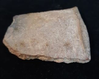 Fossilized pottery and insects in copalite