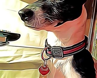 I told mom she needed to get rid of this jewelry.. it doesn’t taste good and takes up my space!