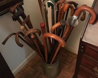 CANE COLLECTION