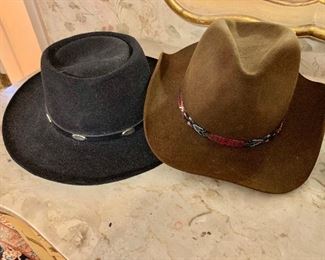 Stetson and Monte Cristi hats