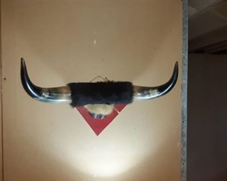Bull horns