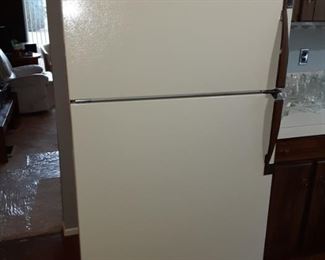 Full Refrigerator 