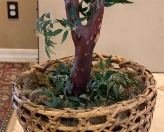 Faux Indoor Plant/Tree #1	84in H	
