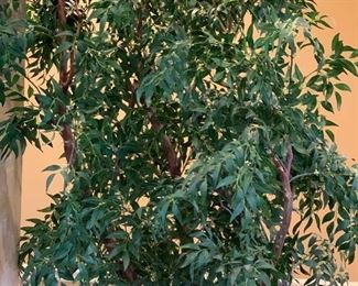 Faux Indoor Plant/Tree #1	84in H	
