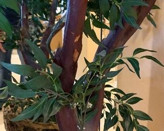 Faux Indoor Plant/Tree #1	84in H	
