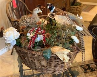 Taxidermy Birds in a Basket		
