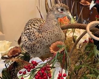 Taxidermy Birds in a Basket		
