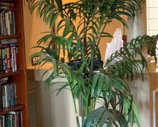LG Faux Palm Plant		
