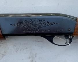 Remingtn Model 1100 20Ga 		
