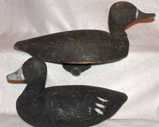 Collection of Duck Decoys