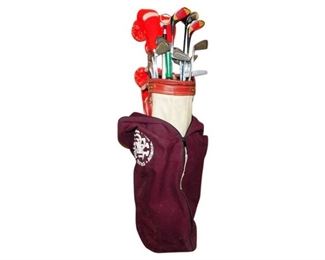 293. Golf Clubs and Case