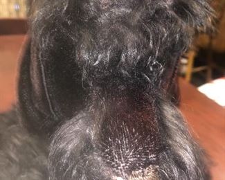 Black terrier toy dog from 1950's...