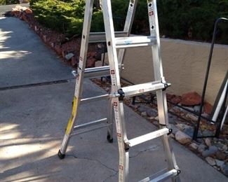 Gorilla Extending Ladder