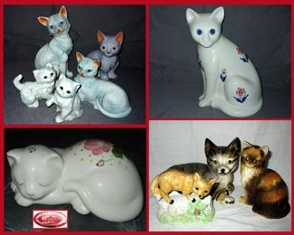 Lots of Cute Cats 