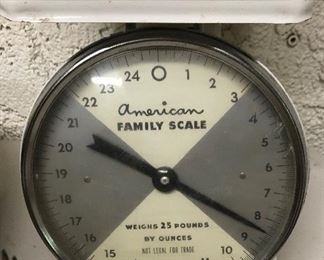 American Family Scale