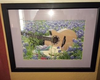 Framed bluebonnet picture