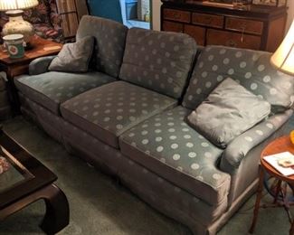 Century matching sofas. All furniture purchased at Kyser Furniture.