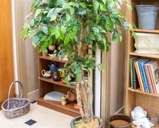 We have several green trees.