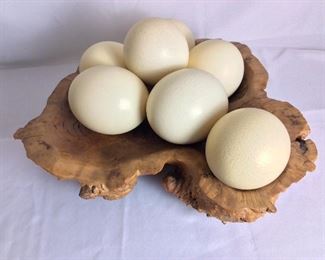 Seven Ostrich Eggs in a Burlwood Bowl from Australia. 