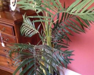 One of several artificial plants