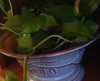 Blue pottery planter