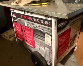 Briggs & Stratton generator 